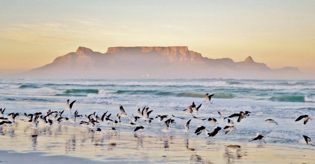Intercâmbio em Cape Town: confira TUDO o que você precisa saber