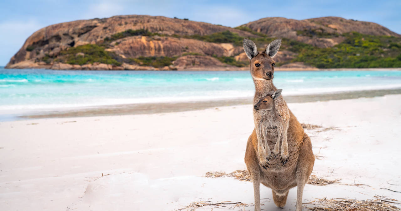 Cultura australiana: 7 curiosidades sobre a Austrália!