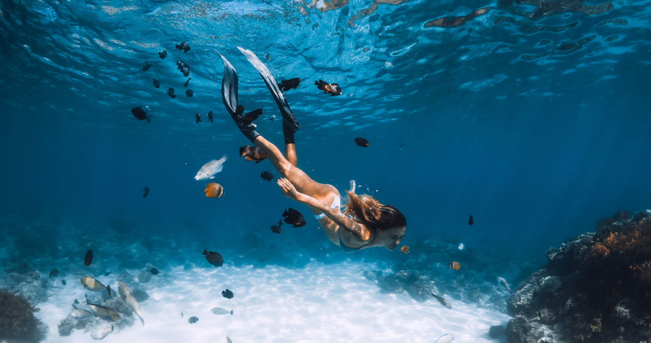 onde-fica-maior-coral-mundo