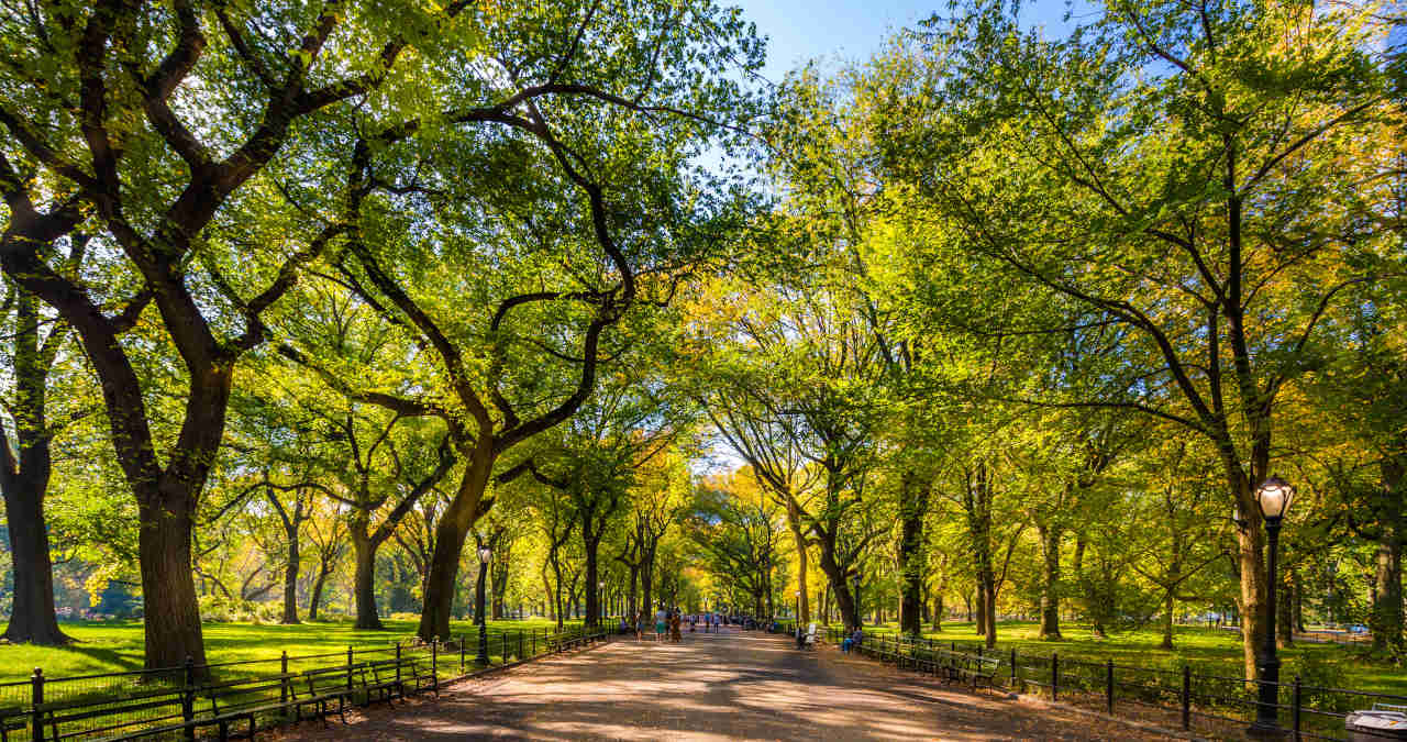 Central Park Nova York: Tudo sobre o parque mais famoso do mundo!