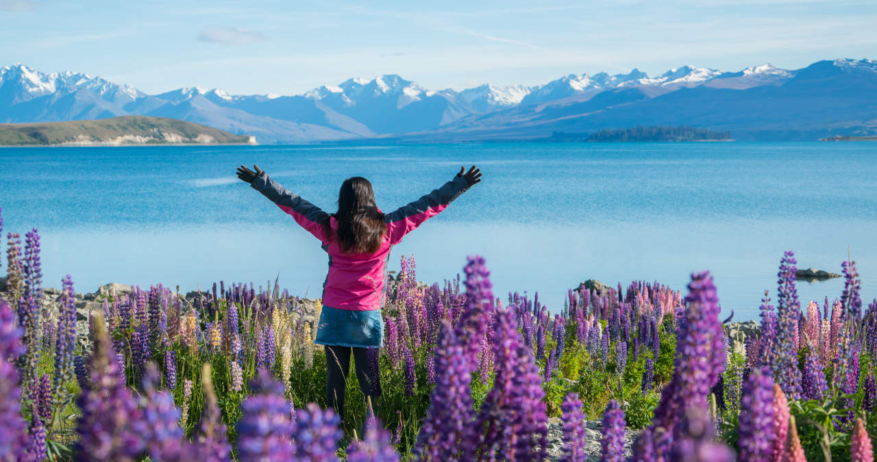 Cidades da Nova Zelândia: TOP 4 para morar na Nova Zelândia!