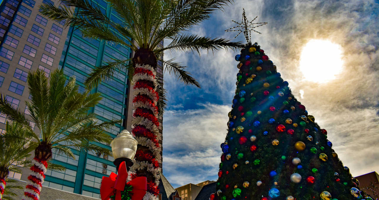 Inverno em Orlando: O que fazer, como é o clima em Orlando e mais! - IE Inverno em Orlando: O que fazer, como é o clima em Orlando e mais! - IE