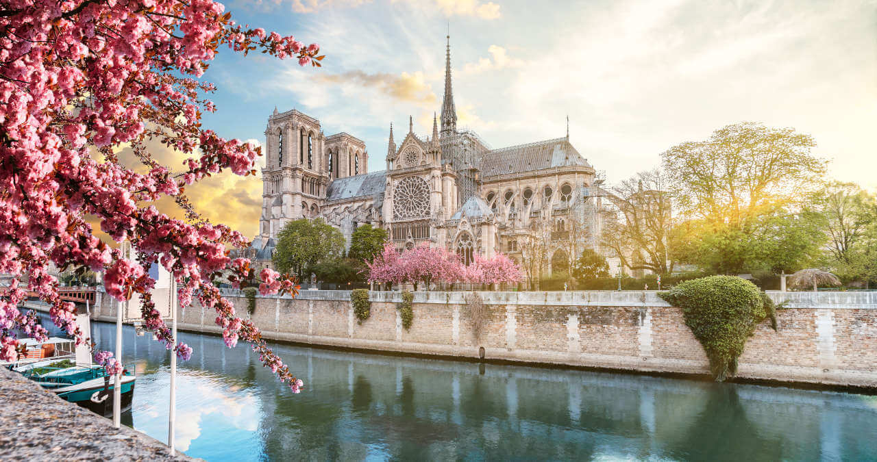 Catedral de Notre Dame de Paris: Como é, história e mais!
